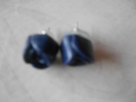 De donkerblauwe grote roosjes (sorry voor wazige foto)